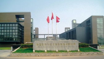 中国软件主力调虎离山，软件外包服务后市或将这样走