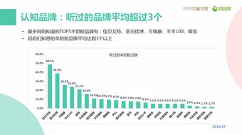 199it 中国互联网数据服务的先驱与价值引擎